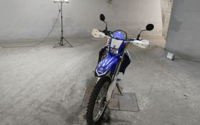 YAMAHA WR250R DG15J