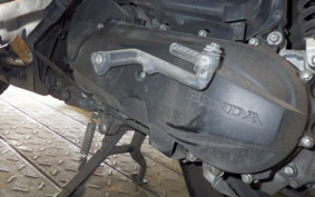 HONDA ZOOMER-X JF52