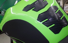 KAWASAKI NINJA ZX-6R A 2020 ZX636G