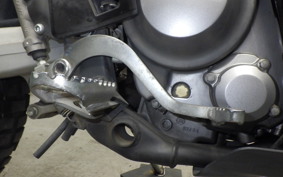 HONDA CRF250 RALLY MD44