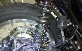 KAWASAKI W800 2024 EJ800E