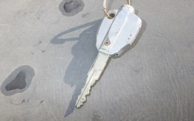 SUZUKI ZZ