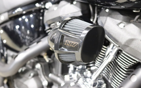 HARLEY FXLRS 2022 YWZ