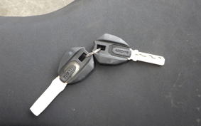 DUCATI 1299 SUPER レッ(ショ