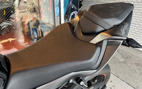 KAWASAKI NINJA ZX-6R 2022 ZX636G