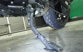 DUCATI SCRAMBLER ICON 2025