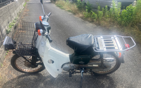 HONDA SUPER CUB50 C50