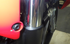 DUCATI MONSTER 937 + 2023