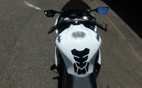 KAWASAKI NINJA ZX-10R 2020 ZXCK18