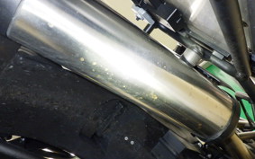 TRIUMPH TIGER 800 XR X 2019