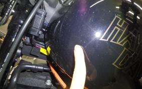 HARLEY FXLRS1920 2022