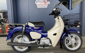 HONDA C110 SUPER CUB PRO 2024 JA61