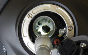 YAMAHA MT-25 A RG74J