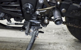 KAWASAKI NINJA 250R 2023 EX250K