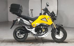 HONDA GU ROM JC61