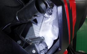 KAWASAKI NINJA 250 2 2021 EX250P