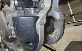 SUZUKI RM-Z250 2025