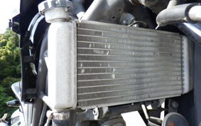 HONDA CBR250R GEN 3 MC41