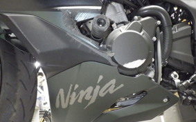 KAWASAKI ZX-4RSE 2025 ZX400P