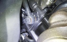 SUZUKI ｼﾞｸｻｰ250SF