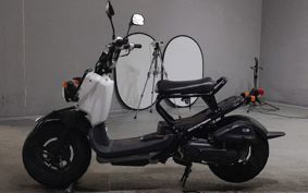HONDA ZUMAR AF58