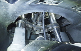 KAWASAKI NINJA 250R 2022 EX250K