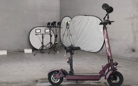 OTHER  BLAZE  SMART EV ..