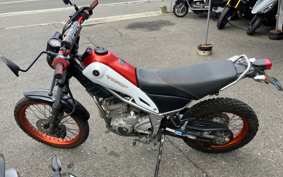 YAMAHA TORITSU CAR DG16J