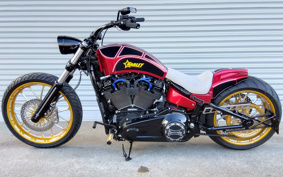 HARLEY FXBRS 2020 YHK