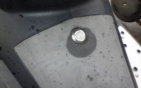 OTHER +UNREGISTERED MODEL by BDS125