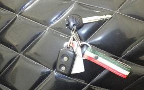 YAMAHA MAXAM 250 SG17J