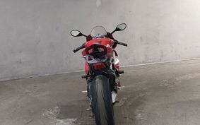 DUCATI PANIGA-REV4S 2019 DA00AA
