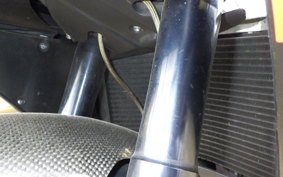 APRILIA RS250