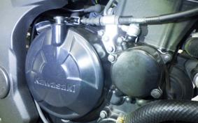 KAWASAKI Z250 SL BR250E