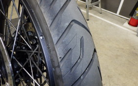 TRIUMPH TIGER 900 RALLY PRO 2024