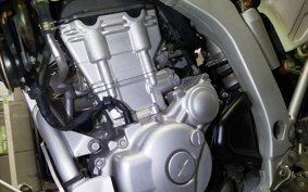 YAMAHA WR250R 2026 DG15J