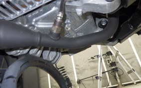 YAMAHA X FORCE SG79J