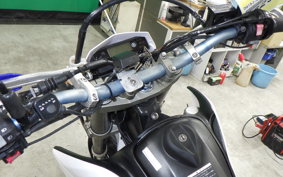 YAMAHA WR250X DG15J