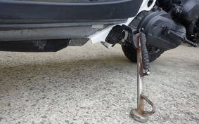 HONDA ZOOMER 2024 AF58