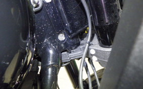 HARLEY FXLRST1920 2023