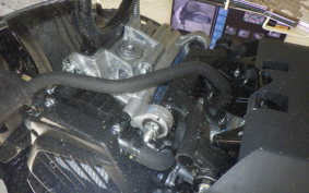 HONDA TACT-4ﾍﾞｰｼｯｸ 2024 AF79