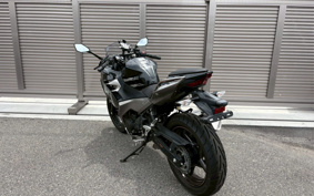 KAWASAKI NINJA 250 EX250P