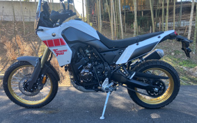 YAMAHA TENERE 700 2025 DM13J