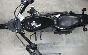HARLEY XL1200N 2012