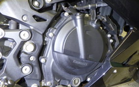 KAWASAKI NINJA 250 2