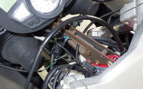 OTHER +ﾒｶﾞﾘ250R 2023