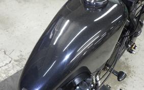 OTHER THUNDER 250 2024