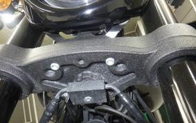 HARLEY FXLRS1920 2024