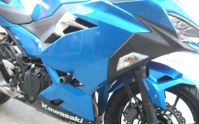 KAWASAKI NINJA 250 EX250P