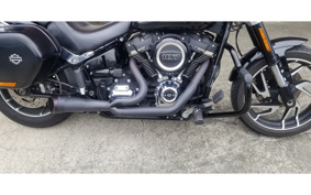 HARLEY FLSB 2019 YMJ